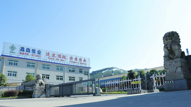 20 年磨一剑！鑫森炭业以 “硬科技” 立志于领跑全球高性能多孔炭材料
